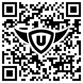 QR-Code Stonies