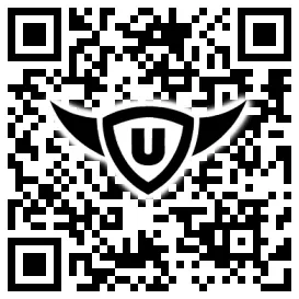 QR-Code Stonies