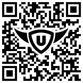 QR-Code Stonies