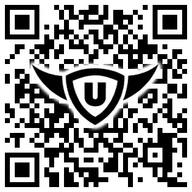 QR-Code Stonies