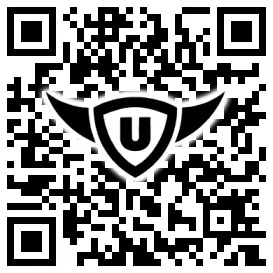 QR-Code Stonies