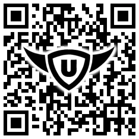 QR-Code Stonies