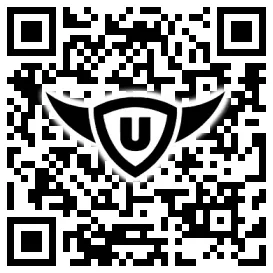 QR-Code Stonies
