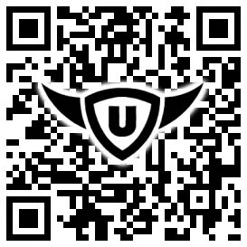 QR-Code Stonies